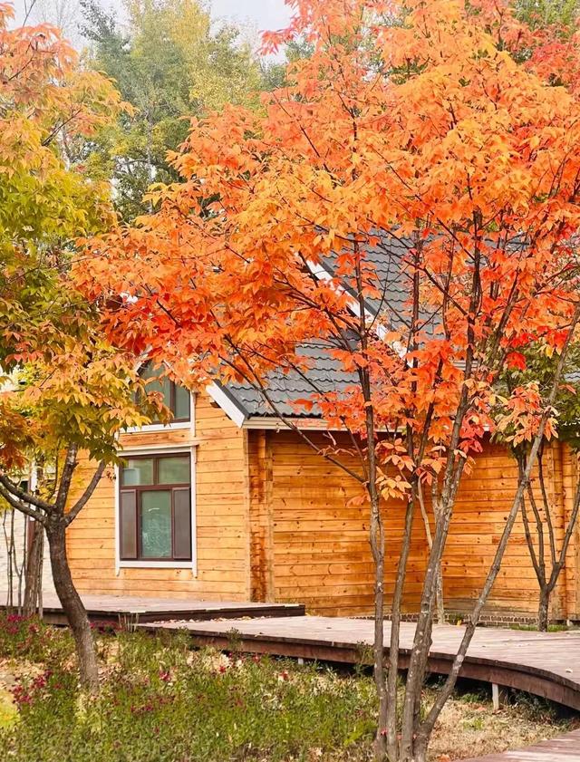 看，延吉秋景深藏诗意！