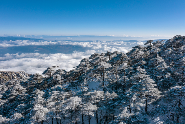 开屏策划｜冬季到云南来看雪：邂逅南国冰雪奇缘！