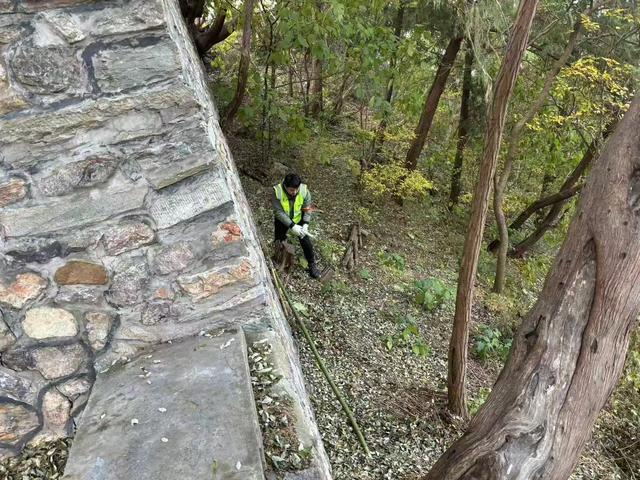 香山有支“园林美容师”队伍，每天背2吨垃圾下山