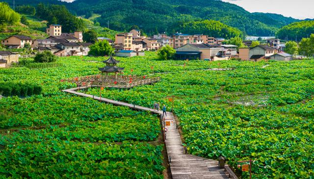 打造发展新模式，宁德“村游”火出圈！