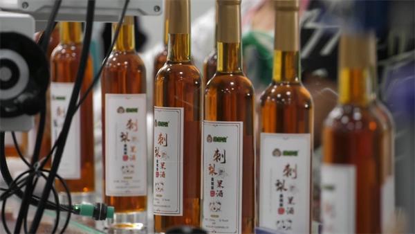 赶紧码住！“赛动黔景·徒旅贵州”2026 徒旅安顺“新春游五湖 步步纳五福”活动攻略