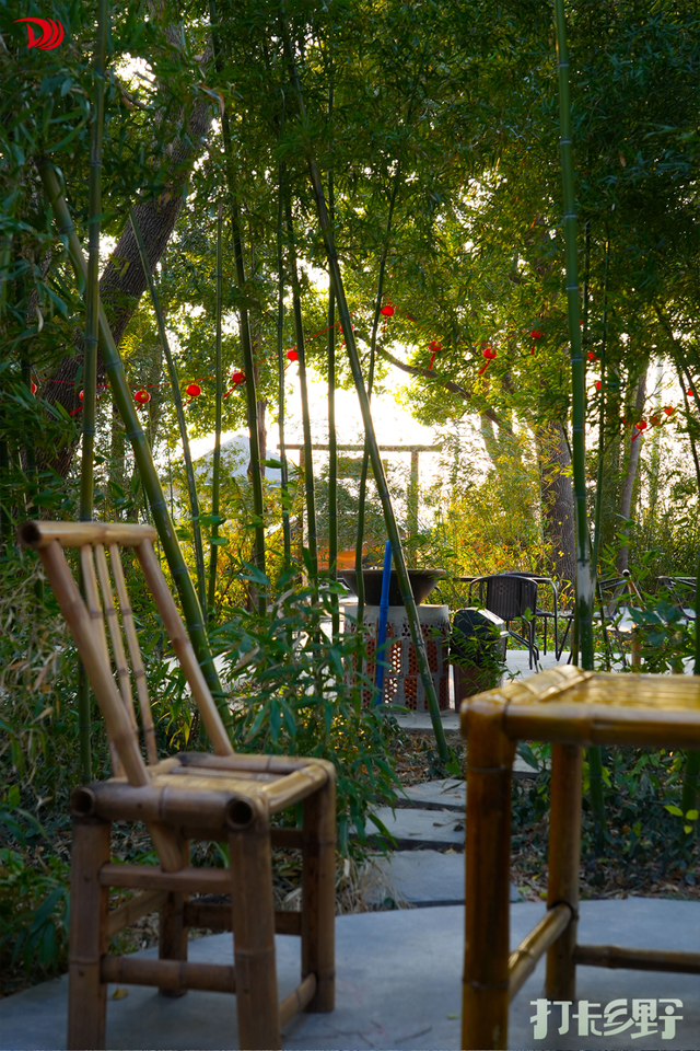 打卡乡野丨新年第一站，去上海离宇宙最近的村子，仰望星空，脚踏田野，开启元气新年