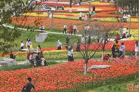 春天 赴一场花海的约会图片