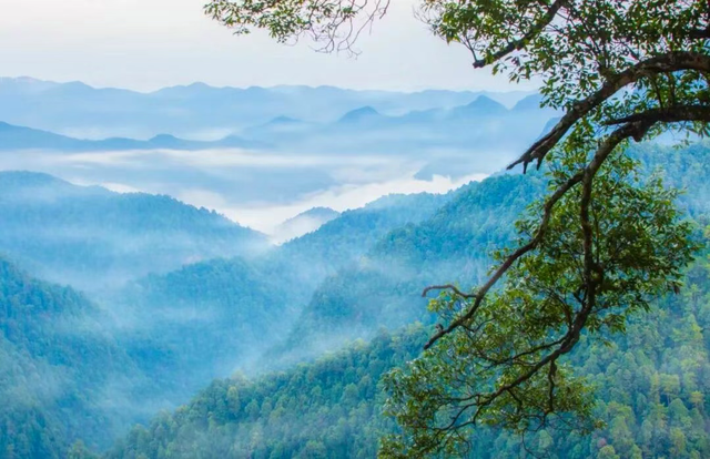 清清东江源，悠悠三百山