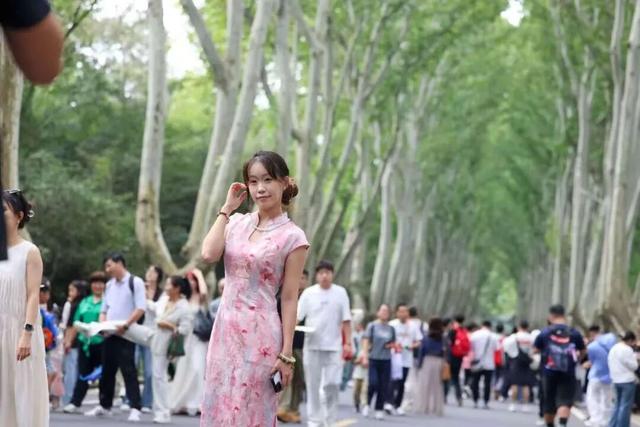 南京，其实我想留！