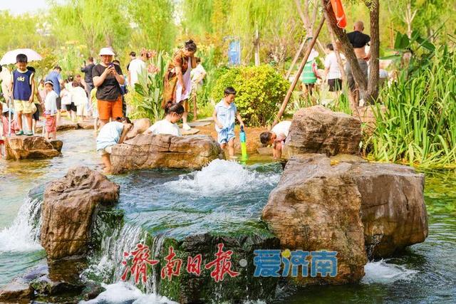 一年四季 泉在济南丨白泉涌雪消暑热 稚子踏浪戏清凉