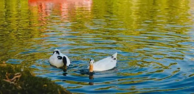 美绝！西安初冬的含金量还在上升！