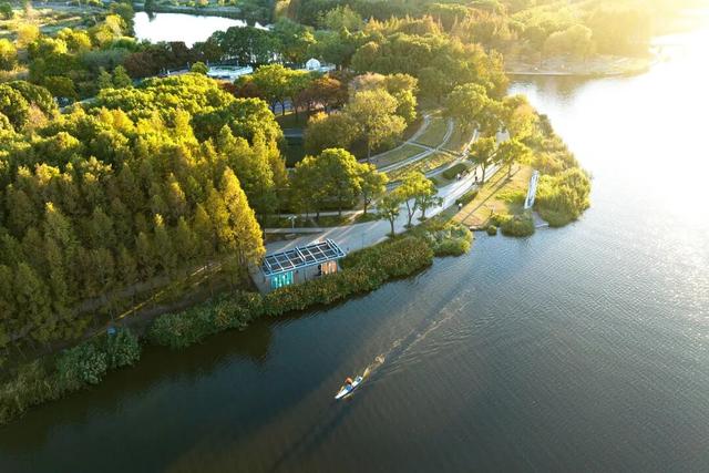 湖光金叶织秋韵