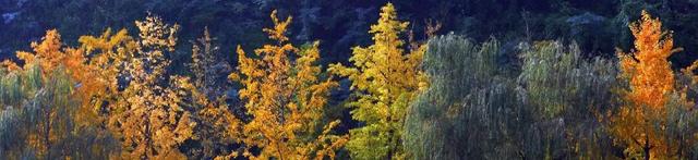 开州确定20处绝佳观赏点，这份宝藏地图请收藏！