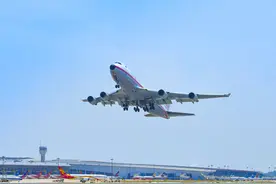 报告中的“港区力量”丨对外开放激发新活力图片