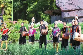 云南民族村开展哈尼族“十月年”系列活动图片
