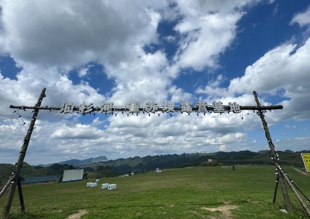徒步油杉河、露营崔苏坝，再赴奢香古镇的彝家之约……跟着小编解锁秋游大方新方式