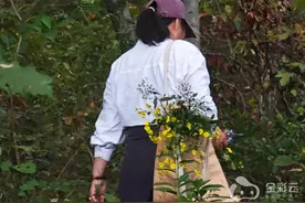 金华各位亲，亳菊、滁菊、贡菊、杭菊、怀菊……这些菊花，你吃对了吗？图片