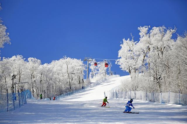 乘着高铁游白山 ｜ 诚邀全球游客相约北纬41°的粉雪天堂