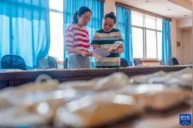 上天入地！云南这些高原种子开启生命新旅程图片