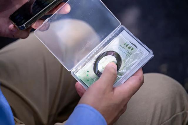 2025第30届上海国际茶文化旅游节开幕！
