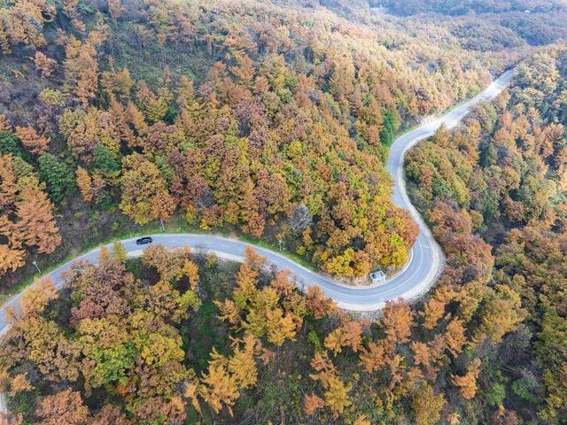 保康：彩林入画醉横冲 层林尽处听风吟