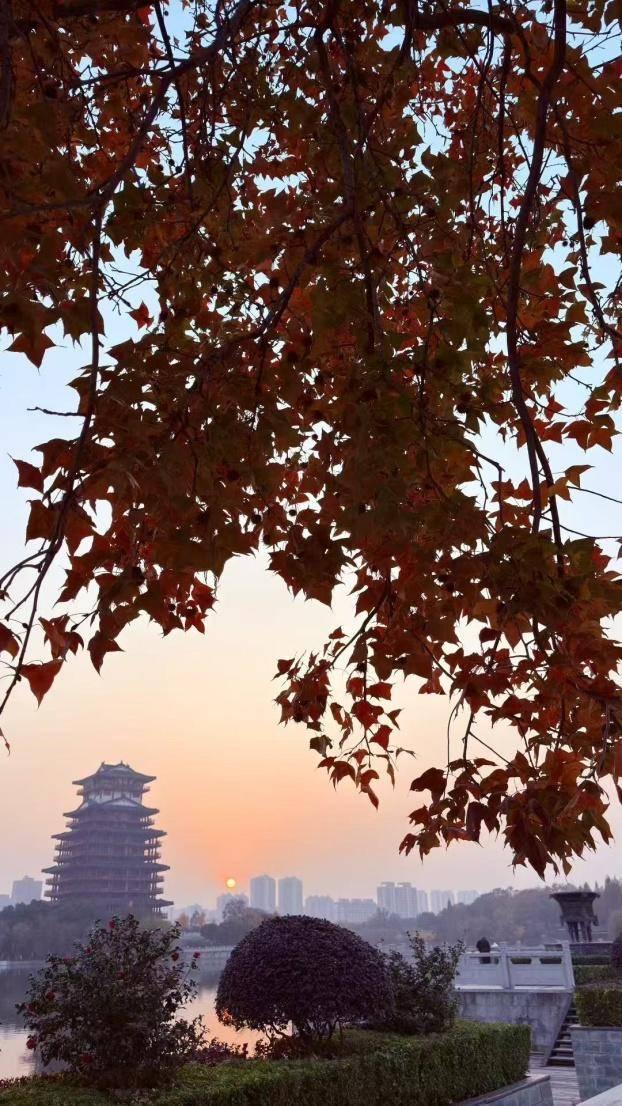 风光正好！来天门邂逅冬日暖阳