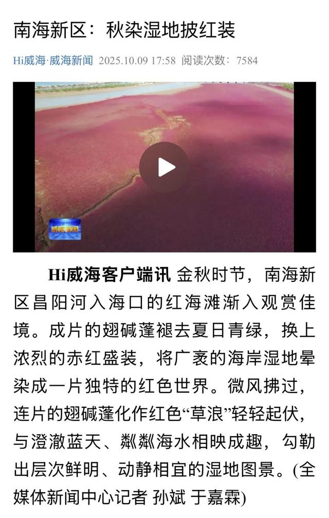 南海红海滩刷屏 网友争相打卡