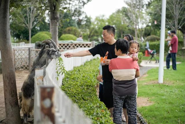 打铁花、烟火瀑布…一天就该这么过！