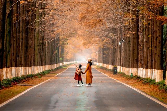 省里又点名了，还是东台