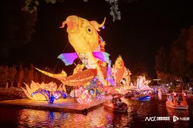 刷新历年湖面灯组长度！广州新春灯会开启，乘船赏“锦鲤”啦图片