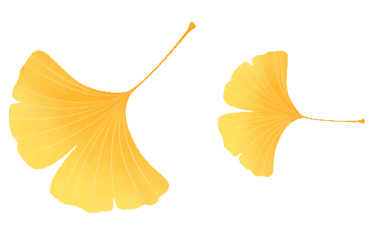 限时绝美！年度顶流！