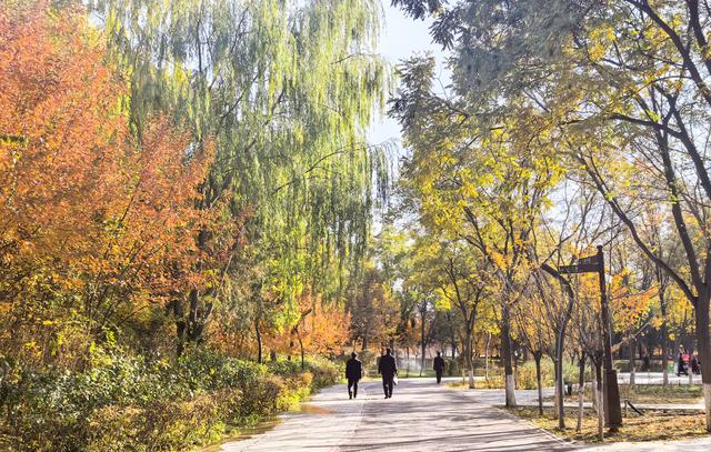 组图丨武威 ：城市公园秋景如画