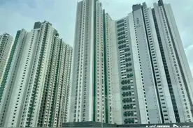 香港特区政府紧急回应图片