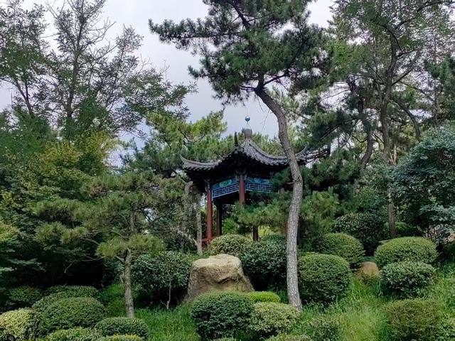 高温过后，来青岛这个山头公园“出出暑”吧