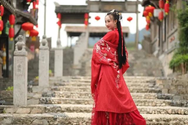 “我在宝华山组了个泡山菊”