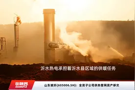 山东玻纤(605006.SH)：全资子公司供热管网资产移交视频封面