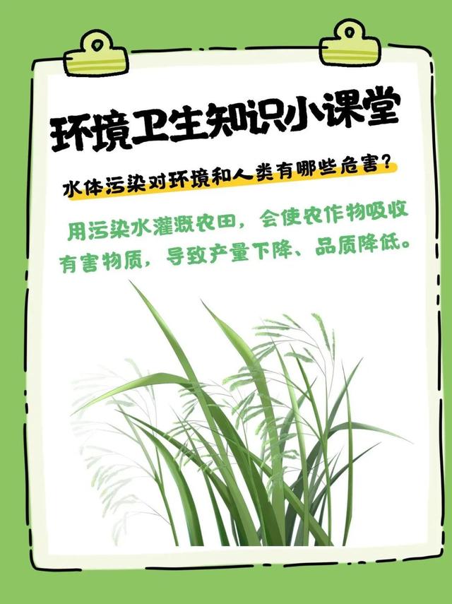 环境卫生知识小课堂 | 水体污染对环境和人类有哪些危害？