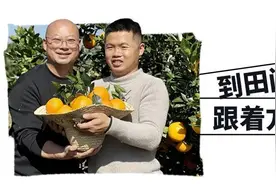 脆甜如初，咬一口穿越回秋天！洛川苹果凭实力上分，重新找回吃苹果的乐趣图片