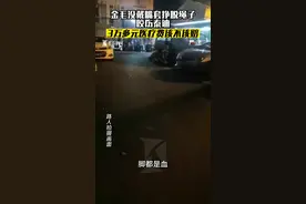 金毛咬了泰迪 医药费花了3W+图片