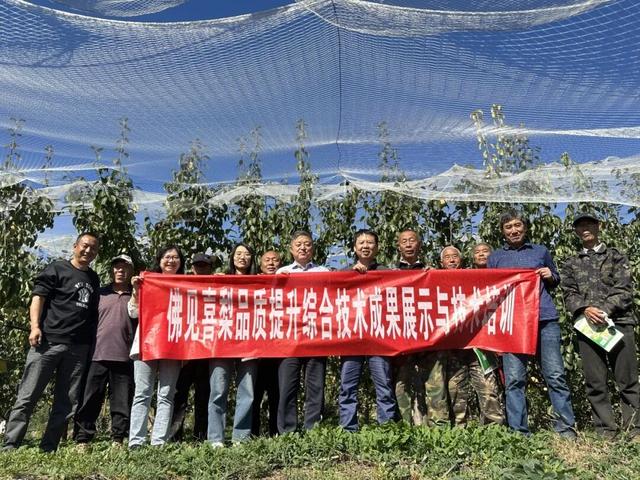 高大尚平谷｜走进平谷科技小院，寻找佛见喜梨的科技密码！