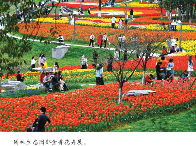 《长沙通讯》丨“优秀传统文化+旅游发展”的开福答卷