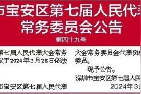 深圳市宝安区人大常委会发布多条人事调整公告图片