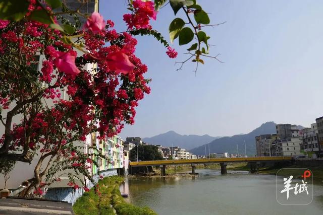 云浮罗定市太西村：彩虹人间 烟火新篇