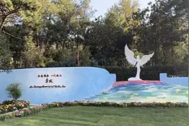 李玟今日于武汉下葬，粉丝含泪呼喊：CoCo回家了图片