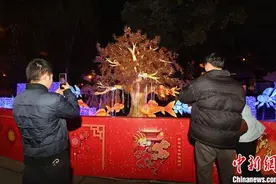 （新春走基层）“2024武侯祠成都大庙会”亮灯开庙图片