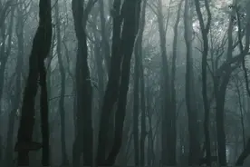 云南一地突然走红！紧急提示......图片
