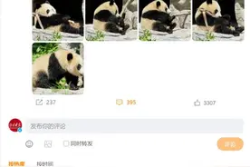 “萌兰”外婆“英英”已去世图片