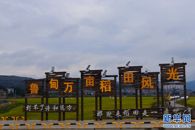 全国媒体达人云南行｜栖居鲁甸 解锁田园生活新魅力