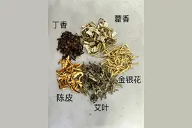 蚊虫叮咬很苦恼？这些中草药可以驱蚊止痒→图片