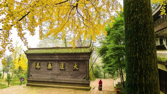 秋天必须这样耍！都江堰限定美景即将上线