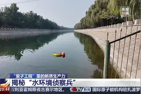 “水管家”“侦察兵”齐上阵 水治理也要“大手拉小手”图片