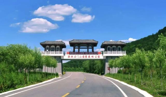 救命！被陕D“拿捏”了！