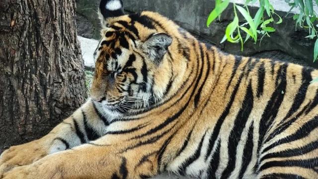 喜迎国庆 欢度中秋丨开启“秋访冰城 见证山河”之旅⑤