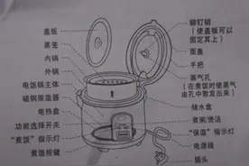 电饭煲这几个地方不洗，当心吃“蟑螂蒸饭”！图片